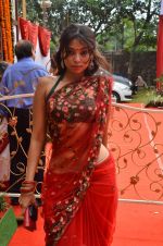 at North Bombay Sarbojanin Durga Puja on 4th Oct 2011 (8).JPG