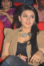 Hansika Motwani Casual Shoot during Oh My Friend Audio Launch on 14th October 2011 (18).jpg