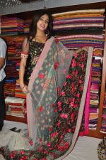 Haripriya launches Sanskriti Festive Designer collection Sarees on 15th October 2011 (44).JPG