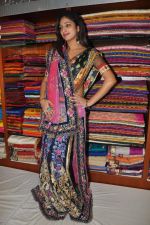 Haripriya launches Sanskriti Festive Designer collection Sarees on 15th October 2011 (49).JPG