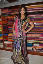 Haripriya launches Sanskriti Festive Designer collection Sarees on 15th October 2011 (50).JPG