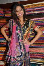 Haripriya launches Sanskriti Festive Designer collection Sarees on 15th October 2011 (53).JPG