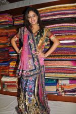 Haripriya launches Sanskriti Festive Designer collection Sarees on 15th October 2011 (54).JPG