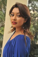 Payal Ghosh_s Casual Shots on 7th October 2011 (30).jpg