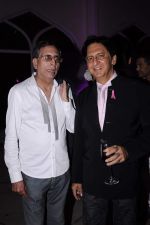 at Elle Breast Cancer awareness event in Taj Hotel on 19th Oct 2011 (39).JPG