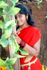 Nalo Nenu Movie Stills Nalo Nenu Movie Stills (9).jpg