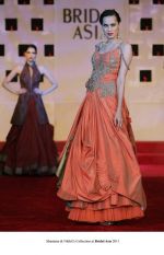 Model walk the ramp for Shantanu and Nikhil Show at Bridal Asia 2011 on 27th Sept 2011 (4).jpg