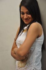 Reshma_s casual shoot during Ee Rojullo Movie Logo Launch on 5th November 2011 (46).JPG