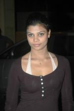 at Anand Raj Concert presented by Bunge in J W Marriott on 9th Nov 2011 (56).JPG