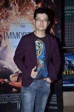 Meiyang Chang at Immortals film premiere in PVR, Mumbai on 10th Nov 2011 (11).JPG