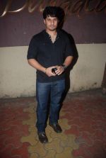 at Rockstar success party in Mumbai on 17th Nov 2011 (28).JPG