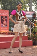 at Dirty picture race followed by Sabah Khan show for Gitanjali in Race Course on 20th Nov 2011 (343).JPG