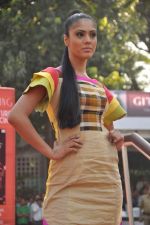 at Dirty picture race followed by Sabah Khan show for Gitanjali in Race Course on 20th Nov 2011 (346).JPG