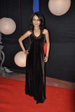 at Zee Rishtey Awards in Andheri Sports Complex on 26th Nov 2011 (61).JPG