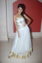 at Goa India Resort wear preview at fittings on 5th Dec 2011 (102).JPG