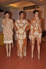 at Goa India Resort wear preview at fittings on 5th Dec 2011 (142).JPG