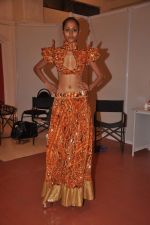 at Goa India Resort wear preview at fittings on 5th Dec 2011 (161).JPG