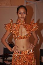 at Goa India Resort wear preview at fittings on 5th Dec 2011 (162).JPG