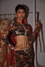 at Goa India Resort wear preview at fittings on 5th Dec 2011 (166).JPG
