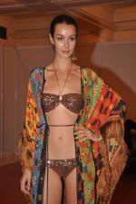 at Goa India Resort wear preview at fittings on 5th Dec 2011 (171).JPG