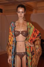 at Goa India Resort wear preview at fittings on 5th Dec 2011 (172).JPG