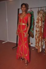 at Goa India Resort wear preview at fittings on 5th Dec 2011 (174).JPG
