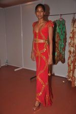 at Goa India Resort wear preview at fittings on 5th Dec 2011 (175).JPG