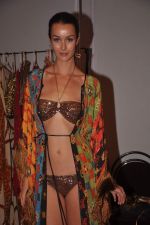 at Goa India Resort wear preview at fittings on 5th Dec 2011 (178).JPG