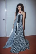 at Goa India Resort wear preview at fittings on 5th Dec 2011 (37).JPG