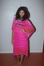 at Goa India Resort wear preview at fittings on 5th Dec 2011 (47).JPG