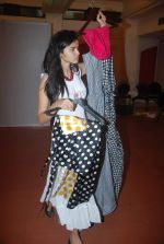 at Goa India Resort wear preview at fittings on 5th Dec 2011 (57).JPG