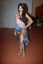at Goa India Resort wear preview at fittings on 5th Dec 2011 (92).JPG