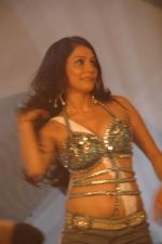 Nikita Rawal_s item song for film Dharna Unlimited in Goregaon on 7th Dec 2011 (4).JPG