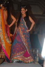 Model walk the ramp for Nisha Sagar_s bridal show in Trident on 10th Dec 2011 (81).JPG