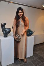 Nisha Jamwal at Point of View gallery group show in Colaba, Mumbai on 12th Dec 2011 (4).JPG