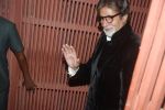 Amitabh Bachchan at The Dirty Picture Success Bash in Aurus, Mumbai on 14th Dec 2011 (67).JPG
