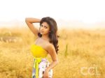 Amala Paul at CCL Calendar shoot on 21st Dec 2011.jpg