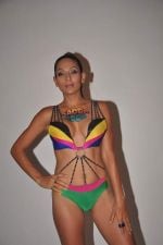 Shaurya Chauhan promotes film Sadda Adda in a bikini in Andheri, Mumbai on 4th Jan 2012 Shaurya Chauhan promotes film Sadda Adda in a bikini in Andheri, Mumbai on 4th Jan 2012 (52).jpg