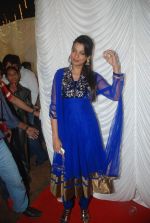 Mugdha Godse at Babloo Aziz_s nephew Suhail_s wedding reception in Goregaon on 11th Jan 2012 (45).JPG