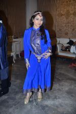 at Aarti Vijay Gupta_s wedding collections fashion show in The Wedding Cafe on 11th Jan 2012 (3).JPG