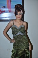 at Aarti Vijay Gupta_s wedding collections fashion show in The Wedding Cafe on 11th Jan 2012 (43).JPG