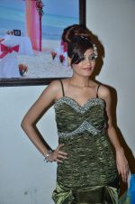 at Aarti Vijay Gupta_s wedding collections fashion show in The Wedding Cafe on 11th Jan 2012 (44).JPG