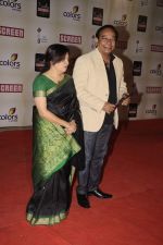 at Star Screen Awards 2012 in Mumbai on 14th Jan 2012 (261).JPG