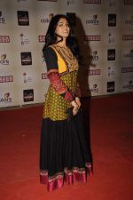 at Star Screen Awards 2012 in Mumbai on 14th Jan 2012 (362).JPG