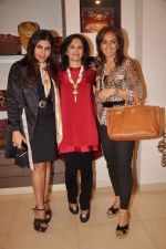 Nisha Jamwal at the launch of Malini Agarwalla_s Bespoke Design Service in The Palladium on 20th Jan 2012 (77).jpg