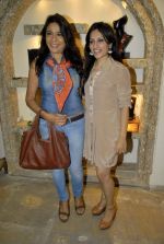 at the launch of Kriti Soni_s _Plumed_- A breathtaking collection of jewels in Mumbai on 21st Jan 2012 (13).JPG