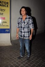Chunky Pandey at Agneepath special screening in PVR, Mumbai on 23rd Jan 2012 (33).JPG
