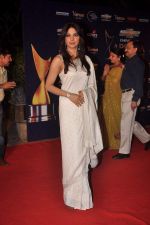 Priyanka Chopra at the 7th Chevrolet Apsara Awards 2012 Red Carpet in Yashraj Studio, Mumbai on 25th Jan 2012 (122).JPG