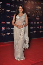 Sameera Reddy at the 7th Chevrolet Apsara Awards 2012 Red Carpet in Yashraj Studio, Mumbai on 25th Jan 2012 (206).JPG