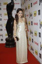 Shazahn Padamse at 57th Idea Filmfare Awards 2011 on 29th Jan 2012.jpg